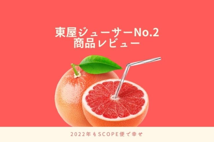 東屋ジューサーNo.2スコープ便をブログで口コミ – すべての道はマイルに通ず