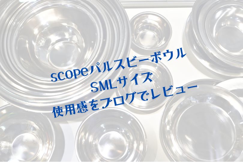Scopeパルスビーボウル.jpg