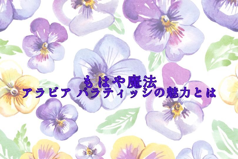 scope アラビア　パラティッシの魅力